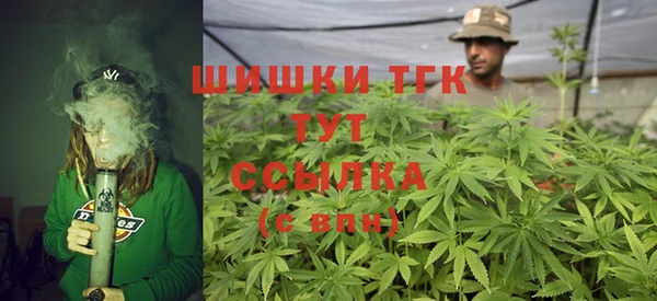 дмт Алзамай