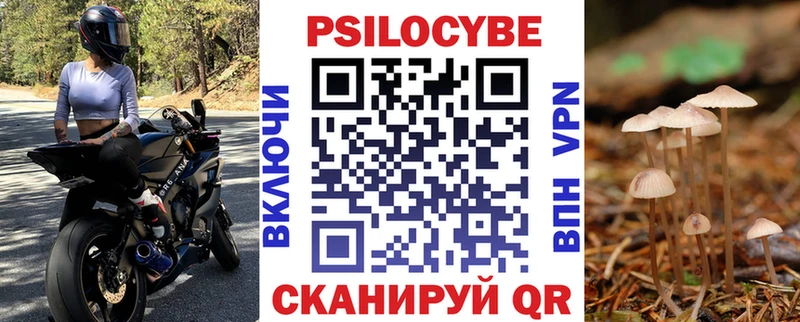 купить  цена  Самара  Галлюциногенные грибы Psilocybine cubensis 