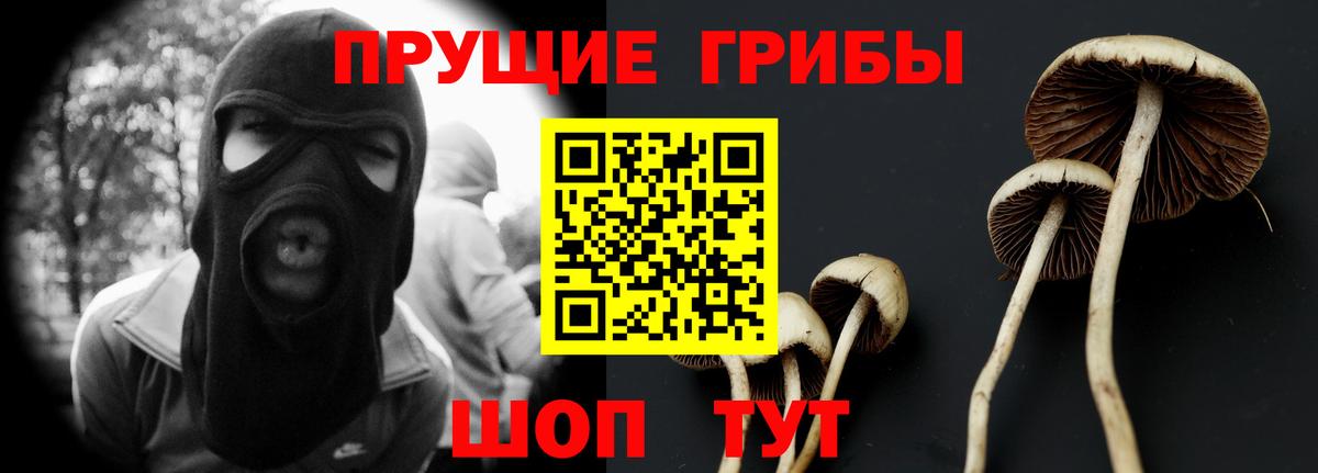 Самара  Галлюциногенные грибы GOLDEN TEACHER  Вход с VPN 