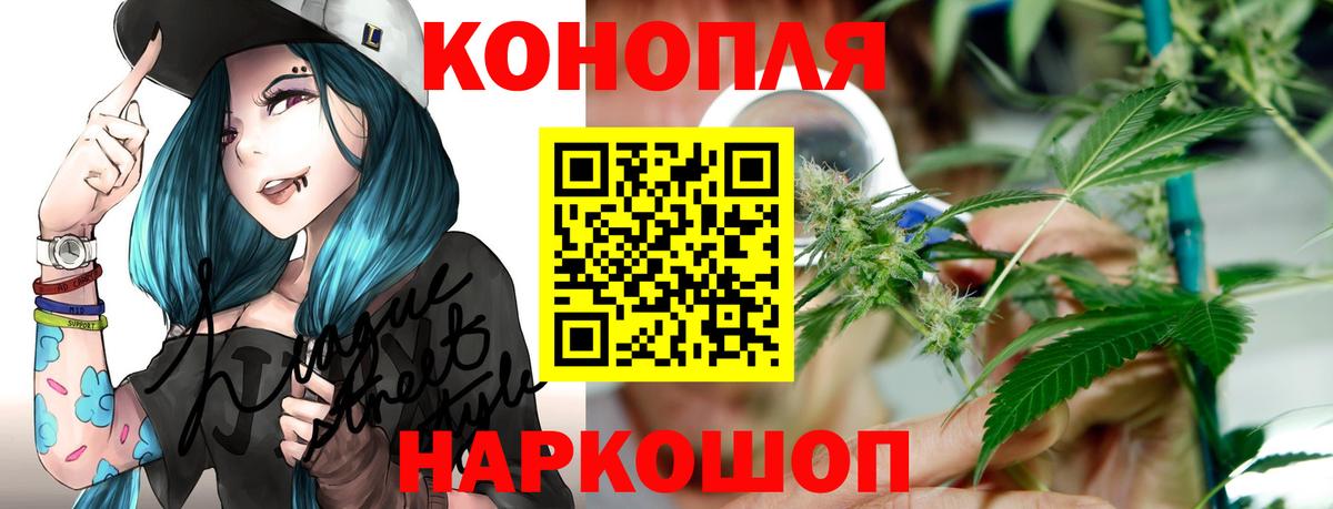 Бошки Шишки White Widow  Канабис планчик  Самара  Вход с VPN  Канабис OG Kush  Бошки марихуана гибрид 